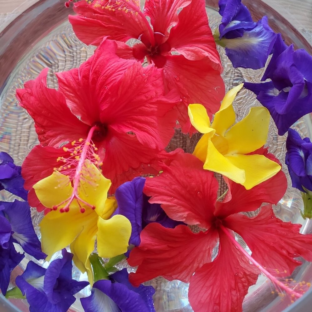 Meet your Posher, T_Mar